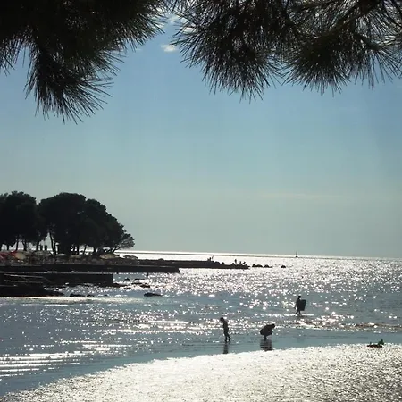 Holiday Home More بيت للعطل *